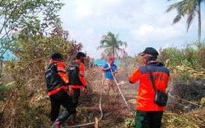 Gerak Cepat BPBD Inhil, Berhasil Padamkan Karhutla di Kecamatan Kateman